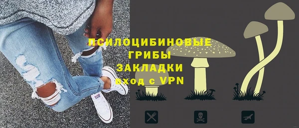 ALPHA PVP Снежногорск