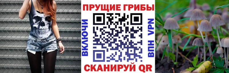 Купить закладки  Барабинск  Галлюциногенные грибы мицелий 